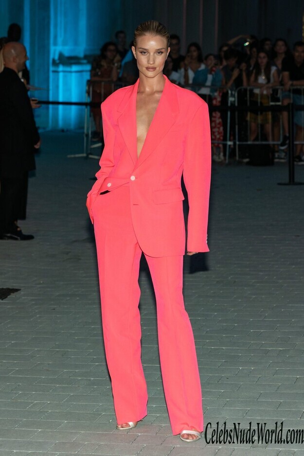 Rosie Huntington Whiteley Braless 166003