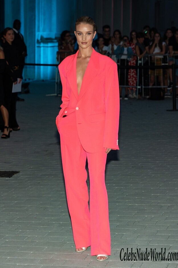 Rosie Huntington Whiteley Braless 166004