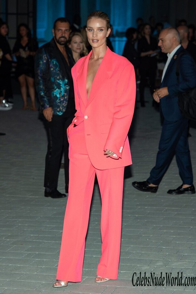 Rosie Huntington Whiteley Braless 166005