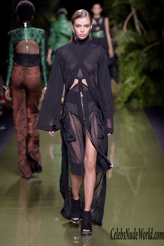 Stella Maxwell See Through Photos 169612