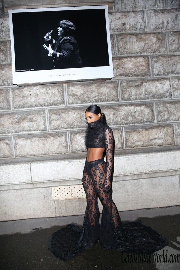 Unknown Guest in a See Through Outfit 173485