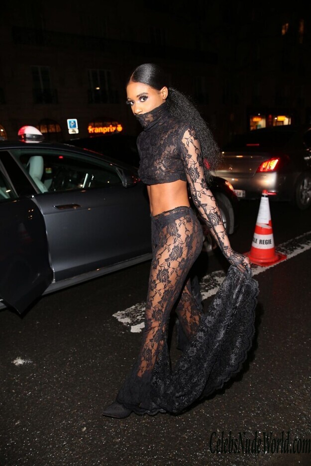 Unknown Guest in a See Through Outfit 173486