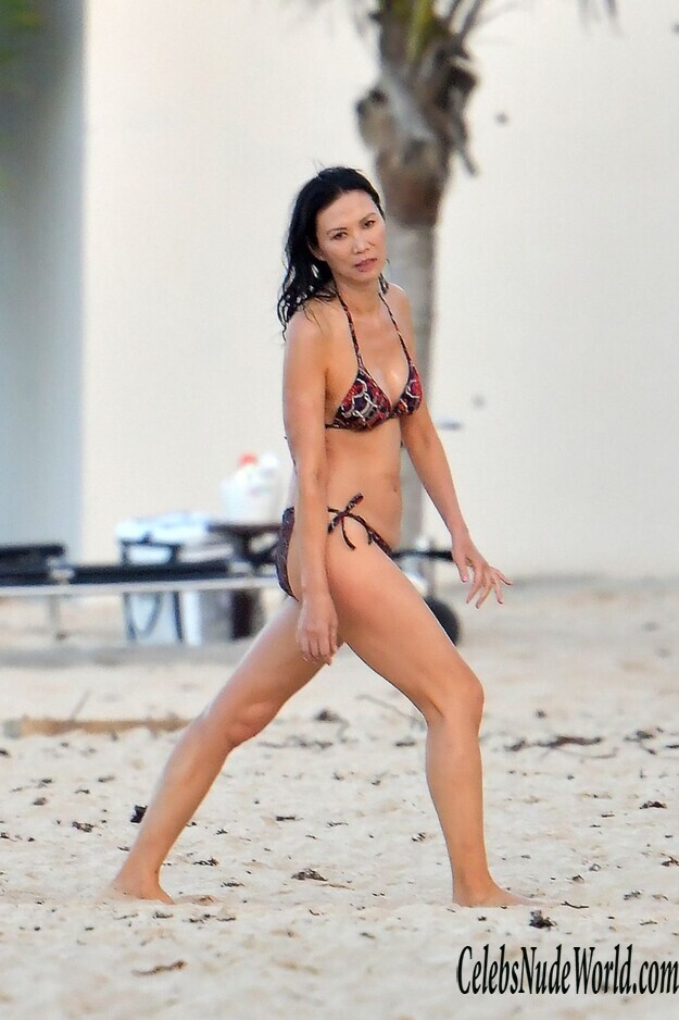 Wendi Deng Murdoch Bikini 180000