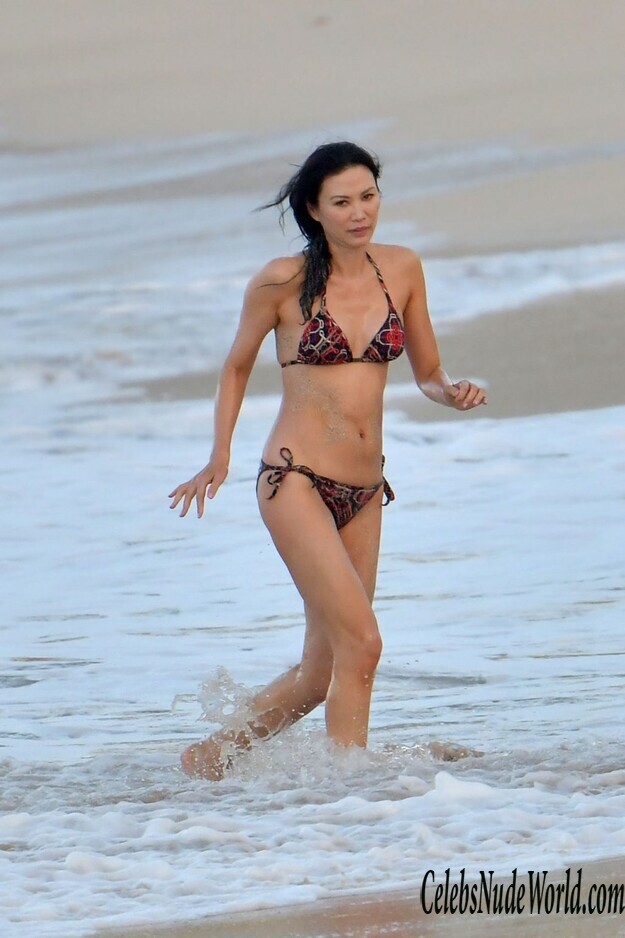 Wendi Deng Murdoch Bikini 180001
