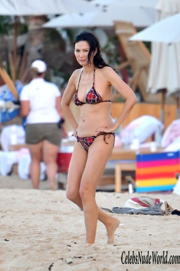 Wendi Deng Murdoch Bikini 180004