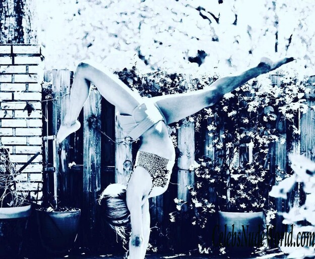 WWE Alicia Fox Erotic 182987