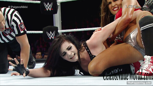 The Bella Twins Nude 193390