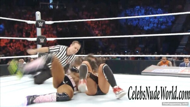 The Bella Twins Nude 193391