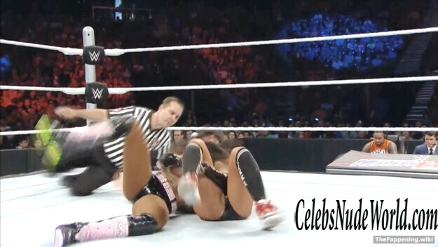 The Bella Twins Nude 193392