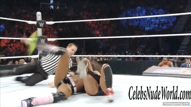 The Bella Twins Nude 193394