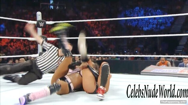 The Bella Twins Nude 193395