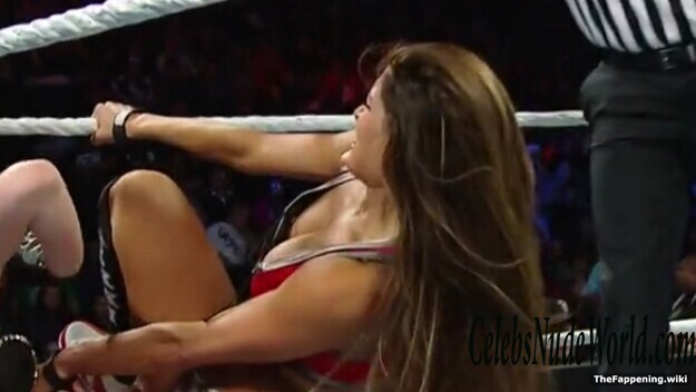 The Bella Twins Nude 193396