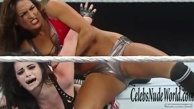 The Bella Twins Nude 193397