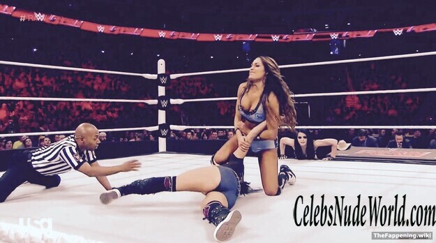 The Bella Twins Nude 193400