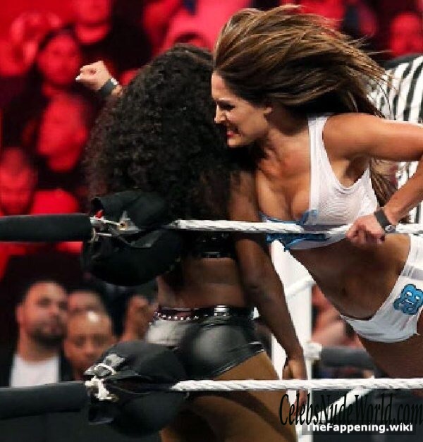 The Bella Twins Nude 193404