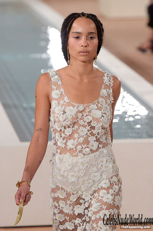 Zoe Kravitz Nude 193897