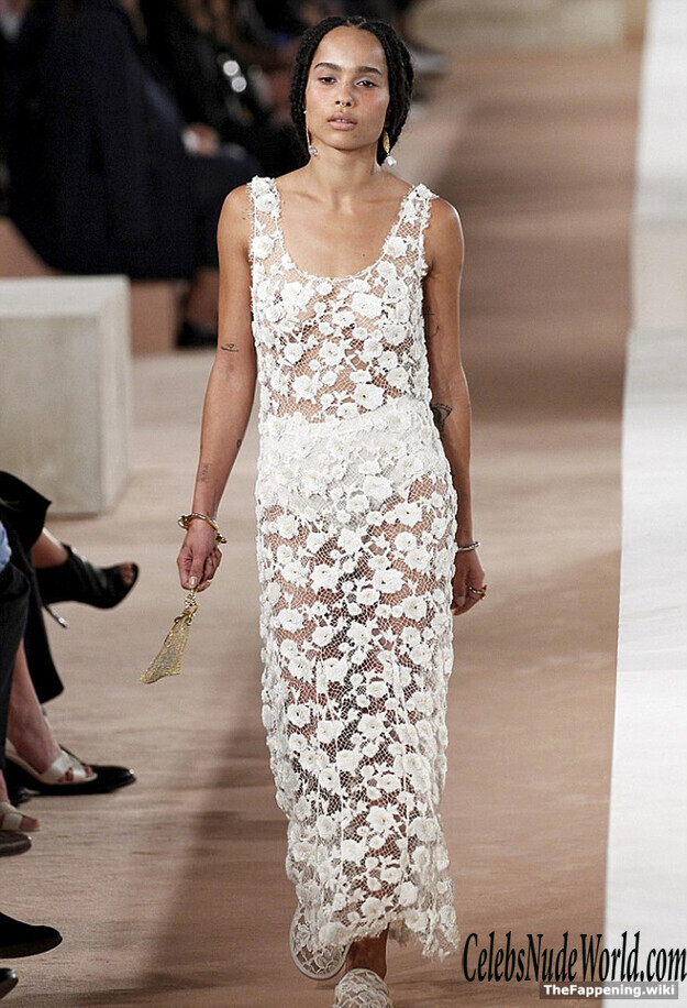 Zoe Kravitz Nude 193898