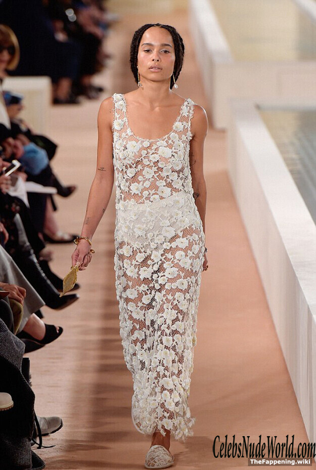 Zoe Kravitz Nude 193899