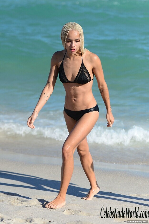 Zoe Kravitz Nude 193908