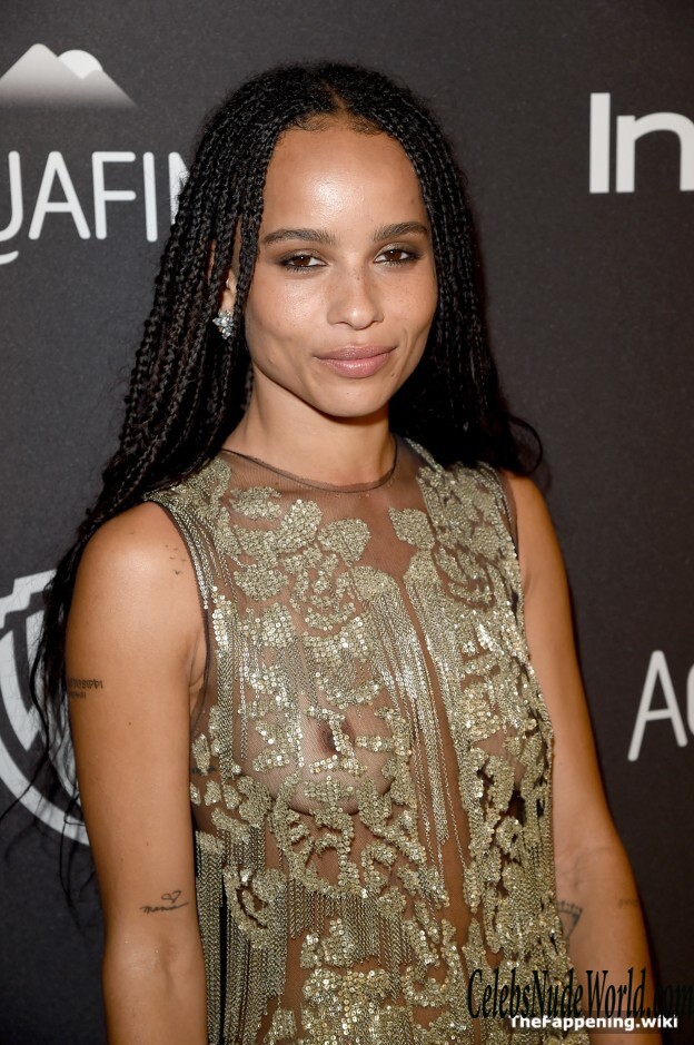 Zoe Kravitz Nude 193912