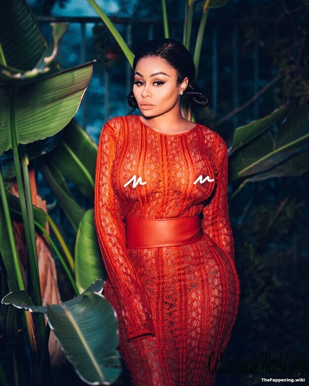 Blac Chyna Nude 197663
