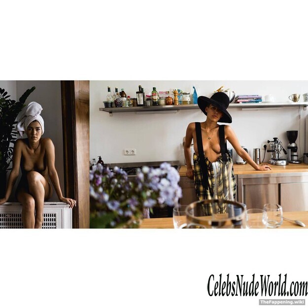 Alina Suggeler Nude 203311