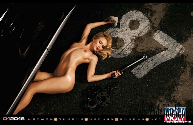 Liqui Moly Official Calendar 2018 Nude 205108