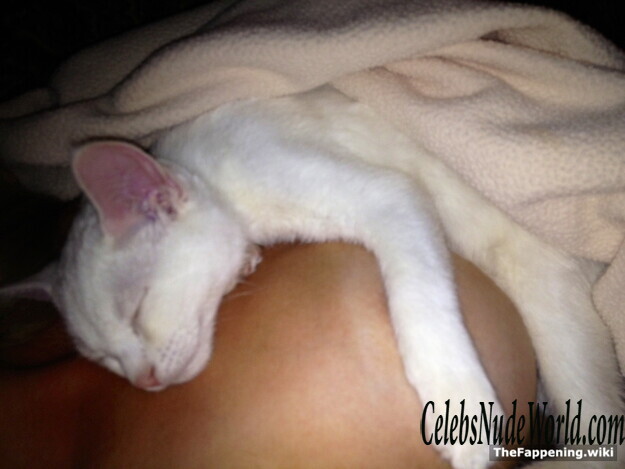 Michalka Sisters Nude 205138