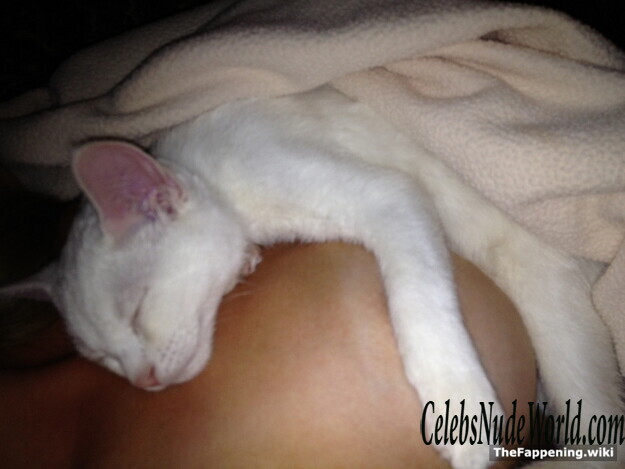 Michalka Sisters Nude 205196