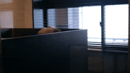 Alexis Ren Nude 205347