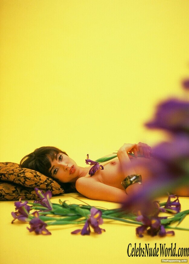 Stephanie Angulo Nude 209331