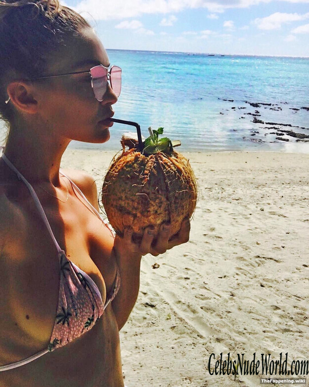 Bella Hadid Nude 211924