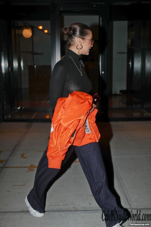 Bella Hadid Nude 211974