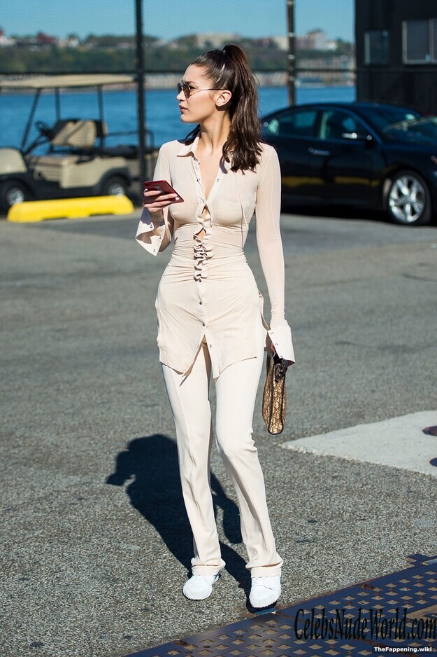 Bella Hadid Nude 211985