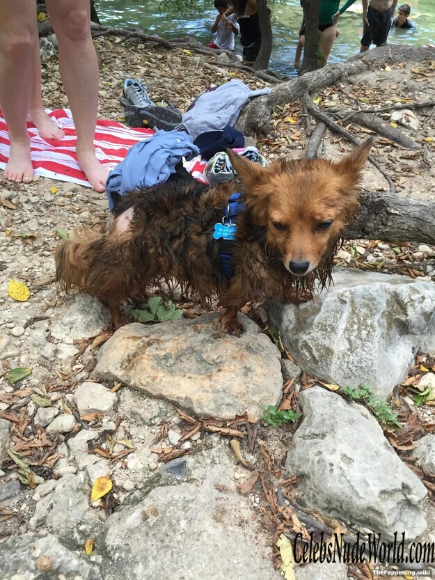 Iliza Shlesinger Nude 212493