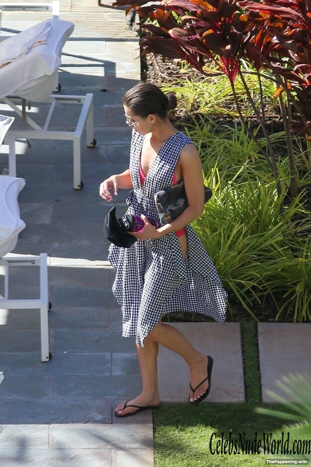 Hailee Steinfeld Nude 212657