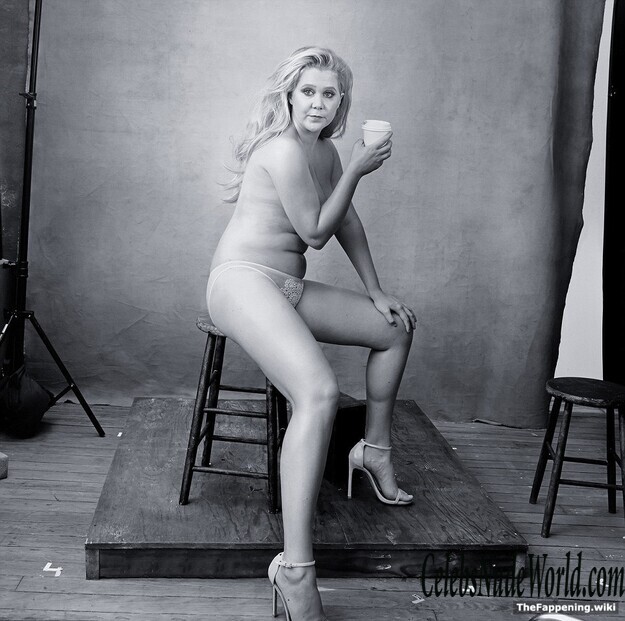 Amy Schumer Nude 216299