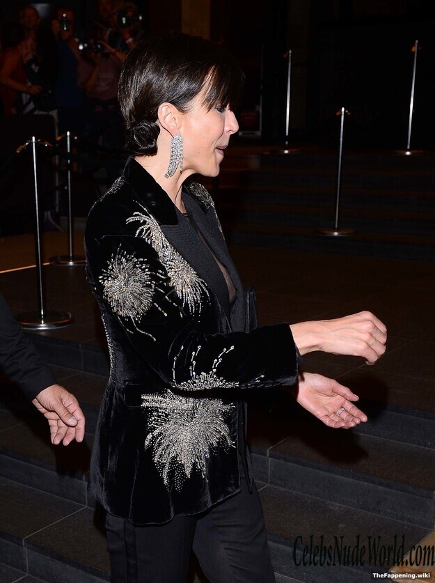 Sophie Marceau Nude 218312