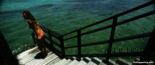 Alessandra Ambrosio Nude 222229