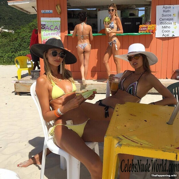 Alessandra Ambrosio Nude 222254