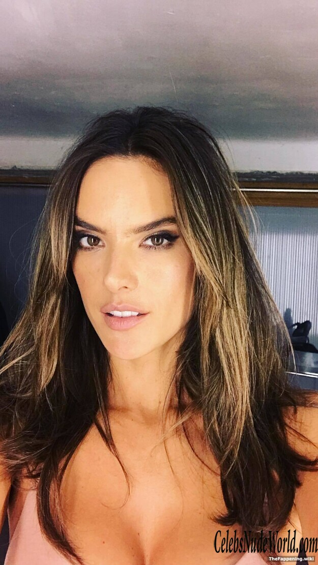 Alessandra Ambrosio Nude 222310