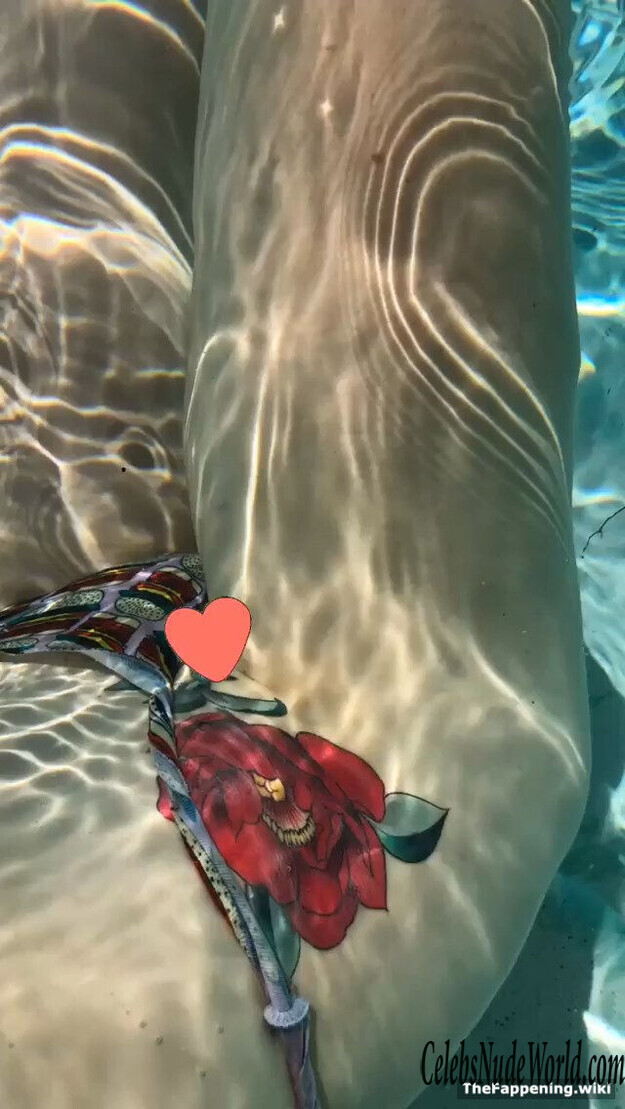 Ireland Baldwin Nude 222567