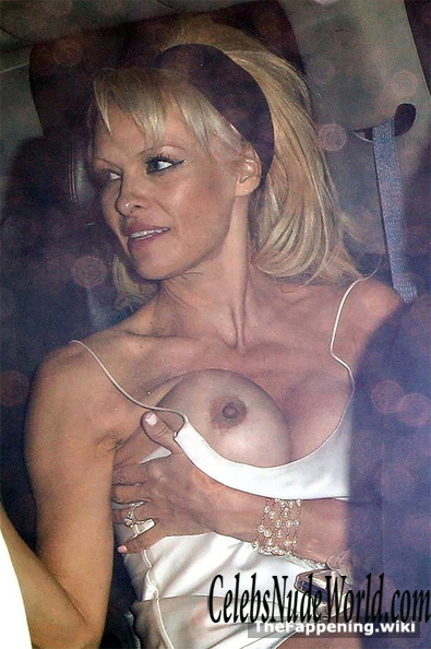 Pamela anderson new nude pics