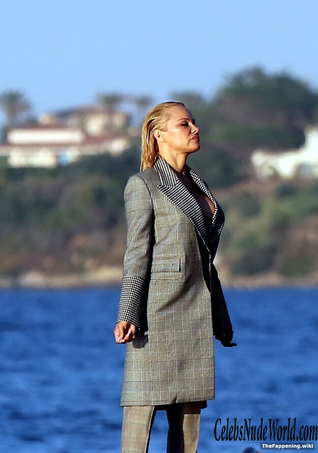 Pamela Anderson Nude 223118