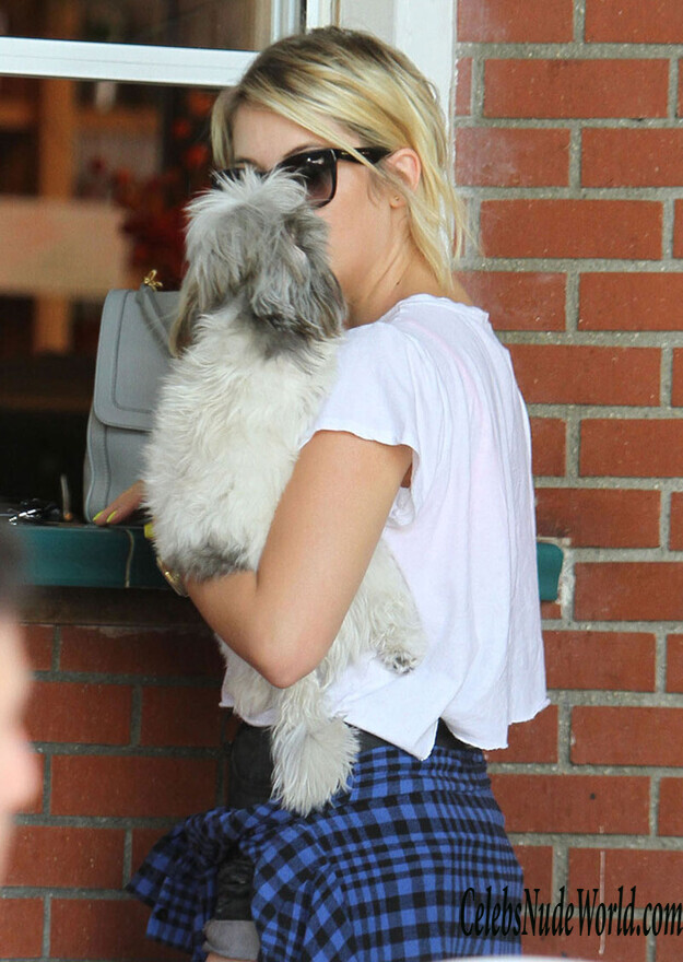 Ashley Benson leggy 227477