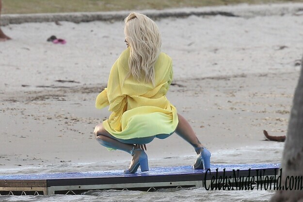 Rita Ora Cameltoe, Thong Ass And More! 231887