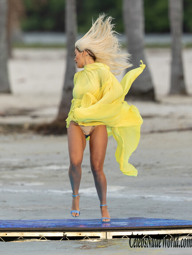 Rita Ora Cameltoe, Thong Ass And More! 231893
