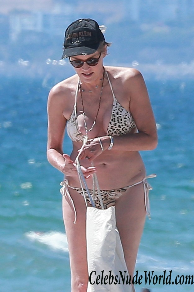 Sharon Stone Nipple Slip On A Beach In Venice 23254