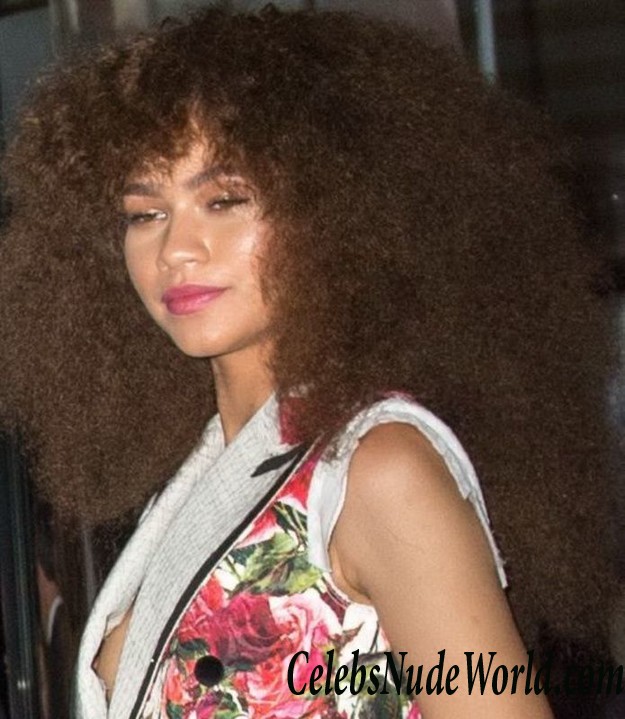 Zendaya Nip Slip At Marc Jacobs Costume Institute MET Gala 23402