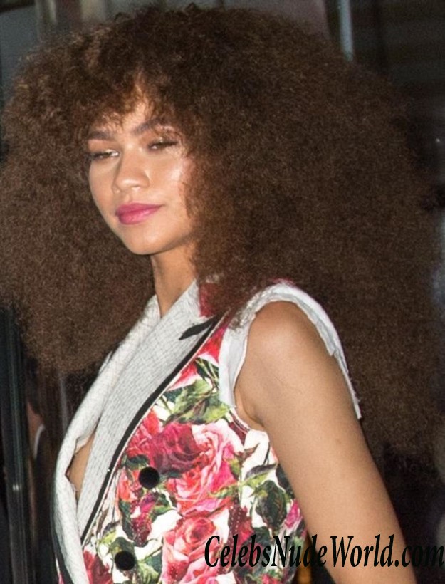 Zendaya Nip Slip At Marc Jacobs Costume Institute MET Gala 23404
